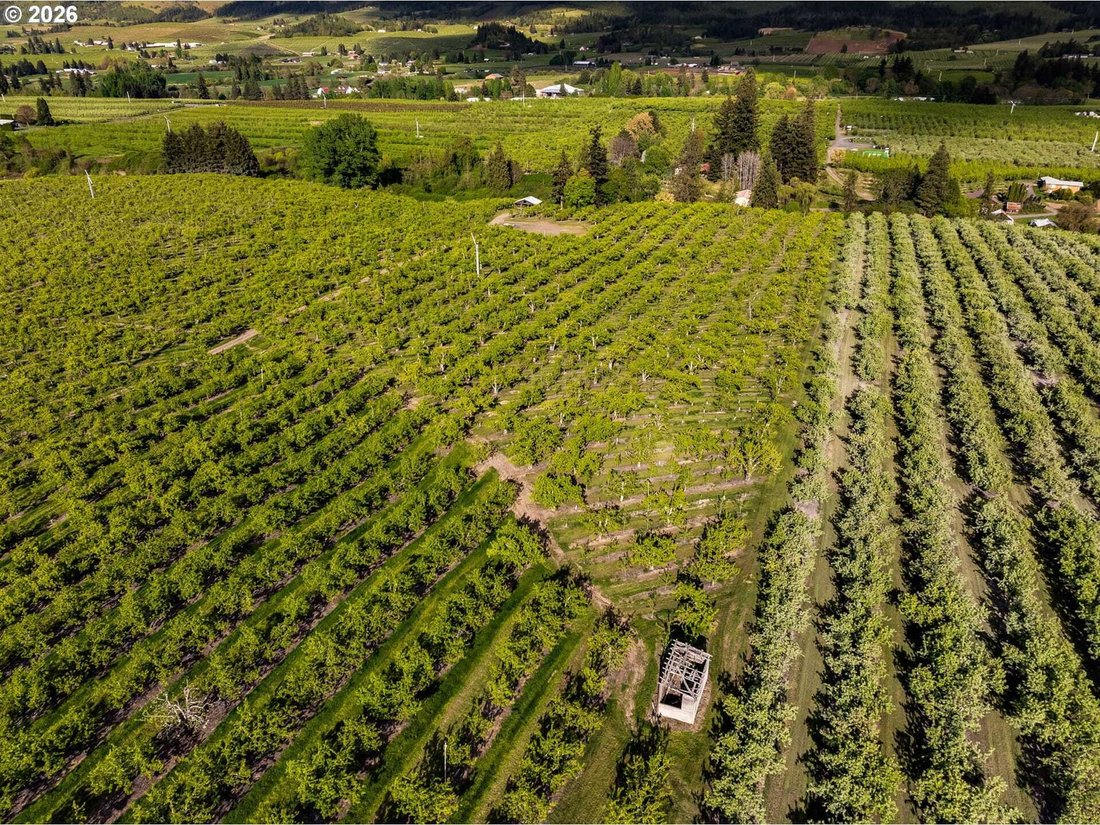 Land in Hood River, Oregon, United States 2 - 18439723