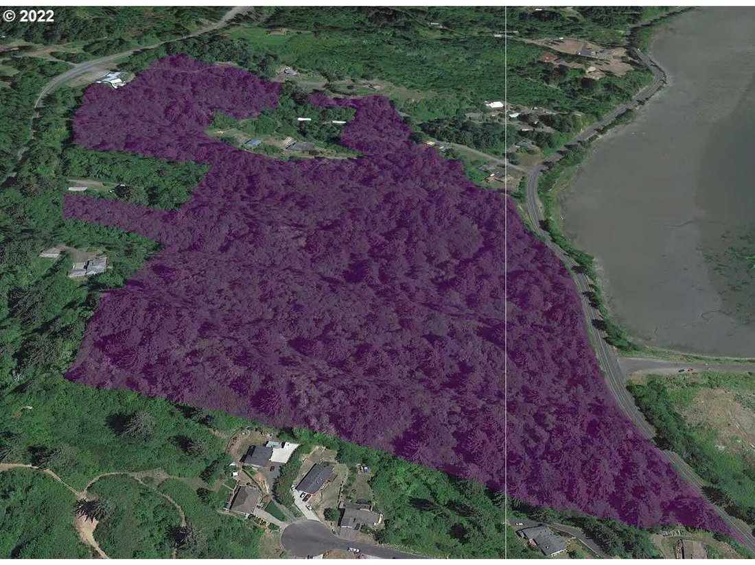 Land in Newport, Oregon, United States 3 - 18439575