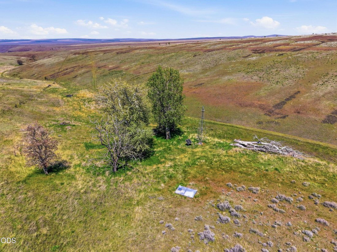 Land in Condon, Oregon, United States 5 - 18439855