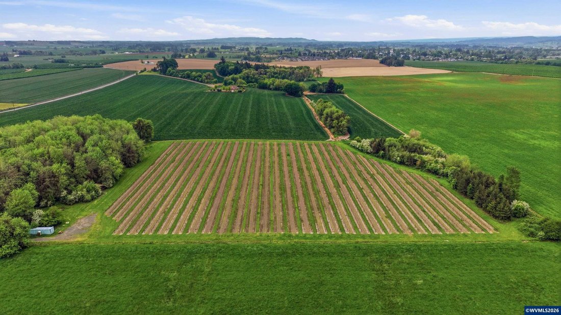 Land in Carlton, Oregon, United States 4 - 18440130