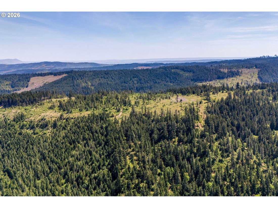 Land in Hood River, Oregon, United States 4 - 18439766
