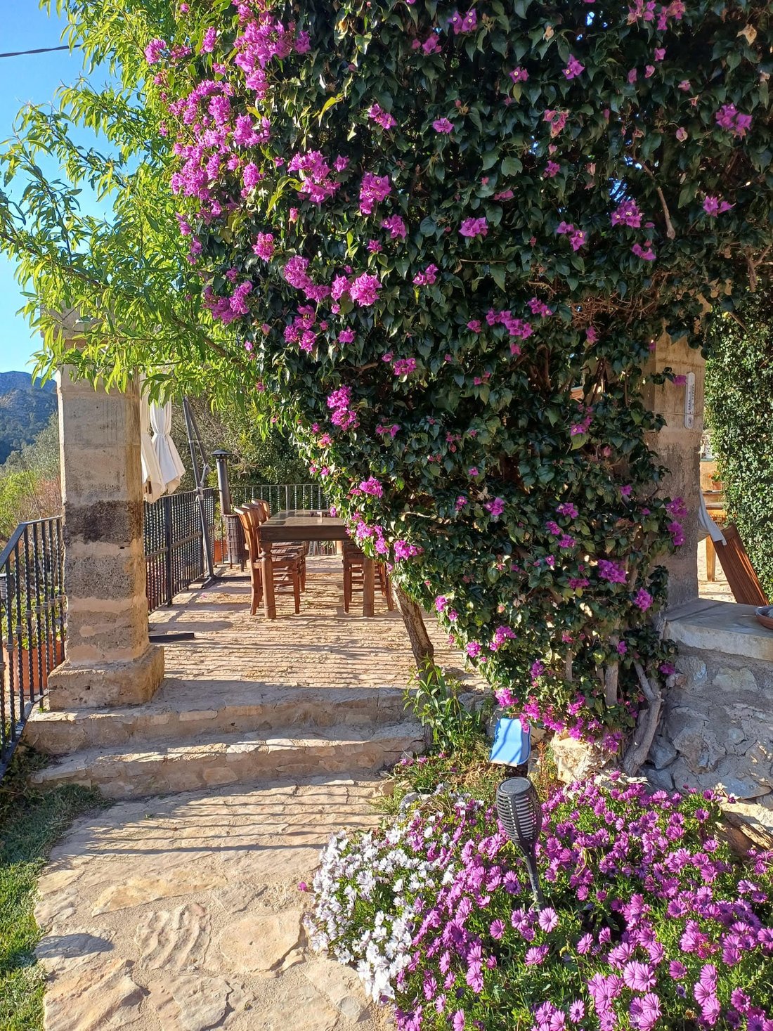 Finca in Andratx, Balearic Islands, Spain 4 - 18394703