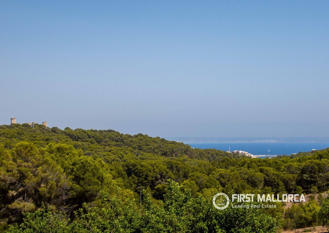 Villa in Genoa, Palma, Balearic Islands 1 - 18073072