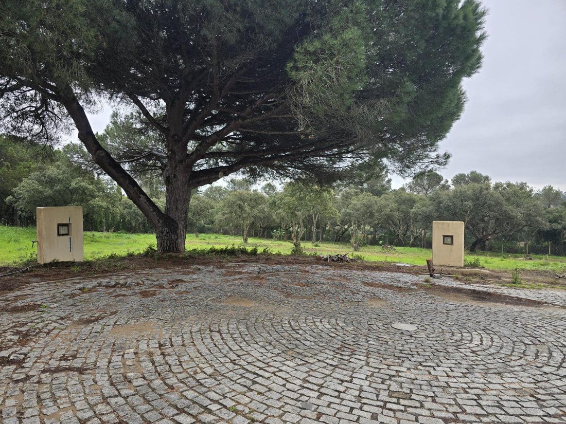 Terreno en Sotogrande, San Roque, Andalucía 5 - 18442759