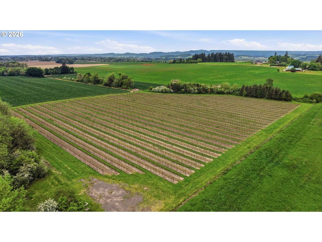 Land in Carlton, Oregon, United States 3 - 18439805