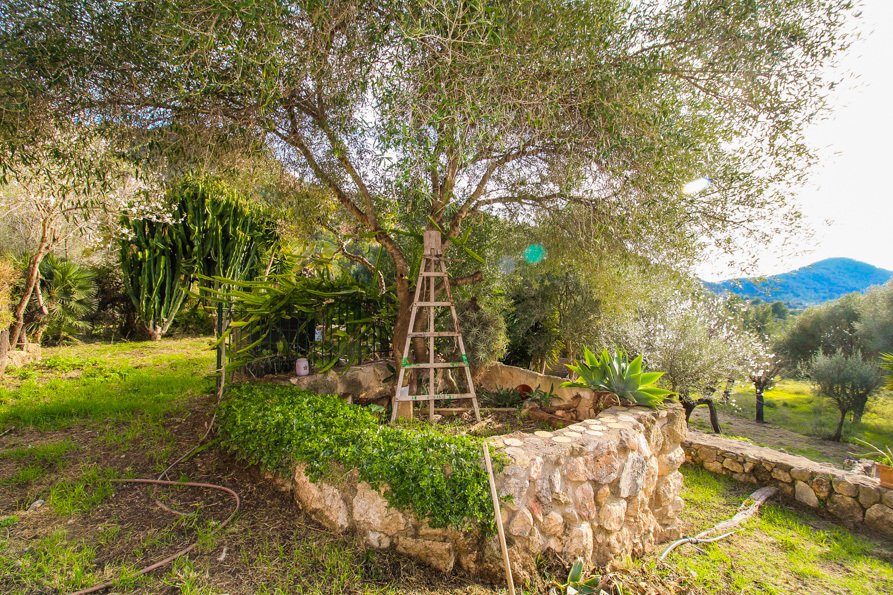 Finca in Andratx, Balearic Islands, Spain 5 - 17773235