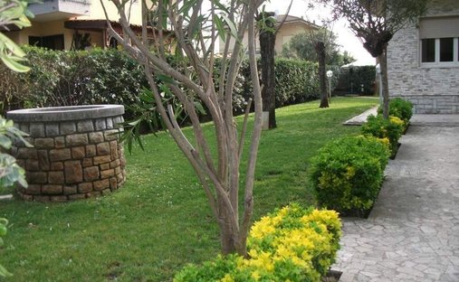 Villa in Center, Forte dei Marmi, Tuscany 1
