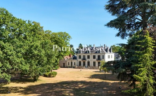House in Grammont, Tours, France 1