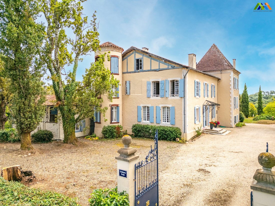 Chateau in Sainte-Colombe, Nouvelle-Aquitaine, France 2 - 17924770