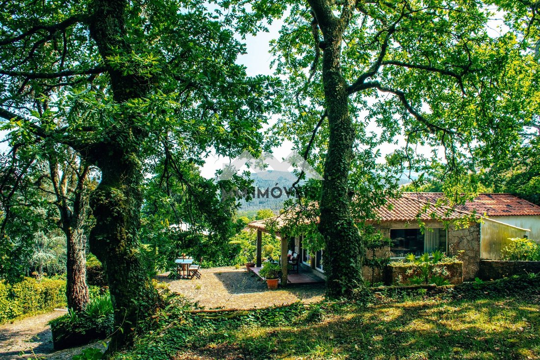 Farm Ranch in Mentrestido, Viana do Castelo District, Portugal 4 - 15542840
