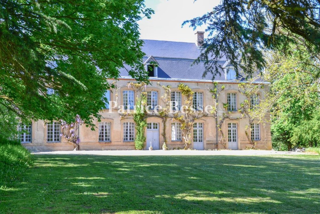 Castle in Cerilly, Auvergne-Rhône-Alpes, France 1 - 18439057