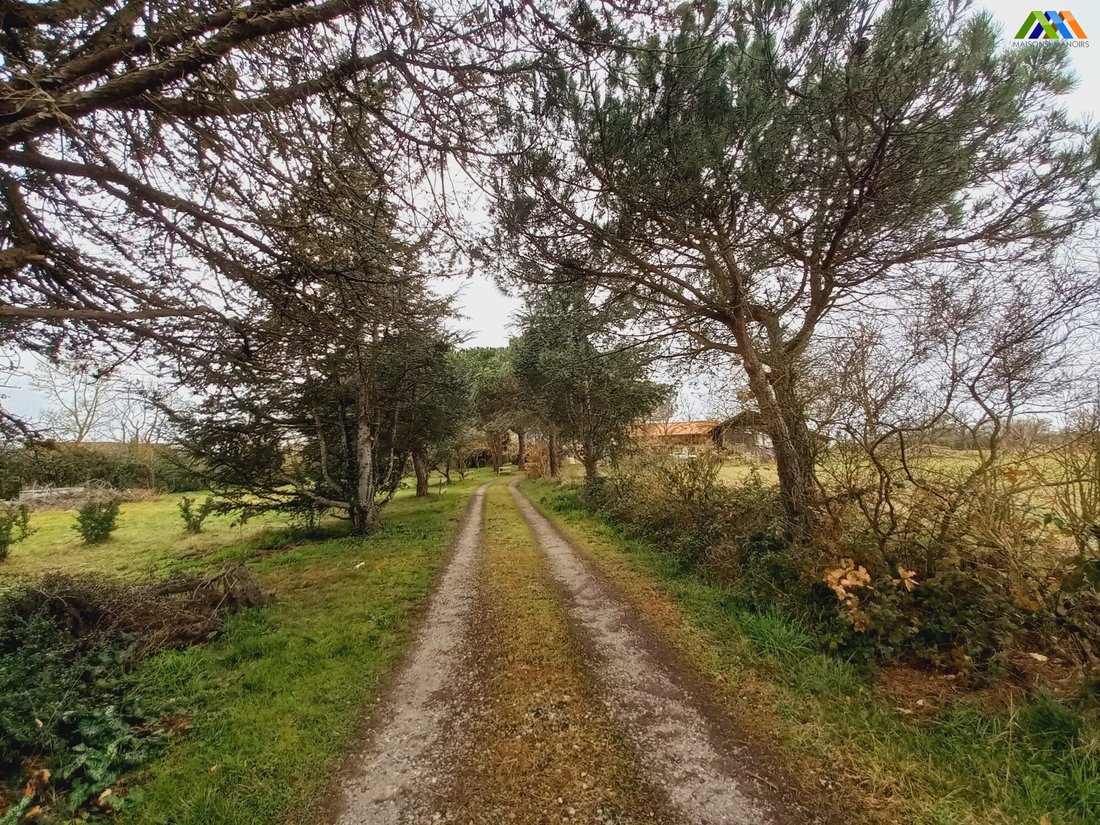 House in Esclassan-Labastide, Occitania, France 2 - 17229199