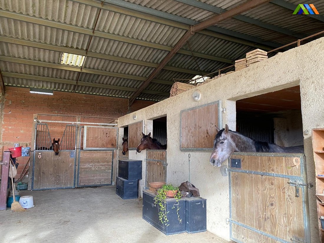 House in Seailles, Occitania, France 4 - 14835888