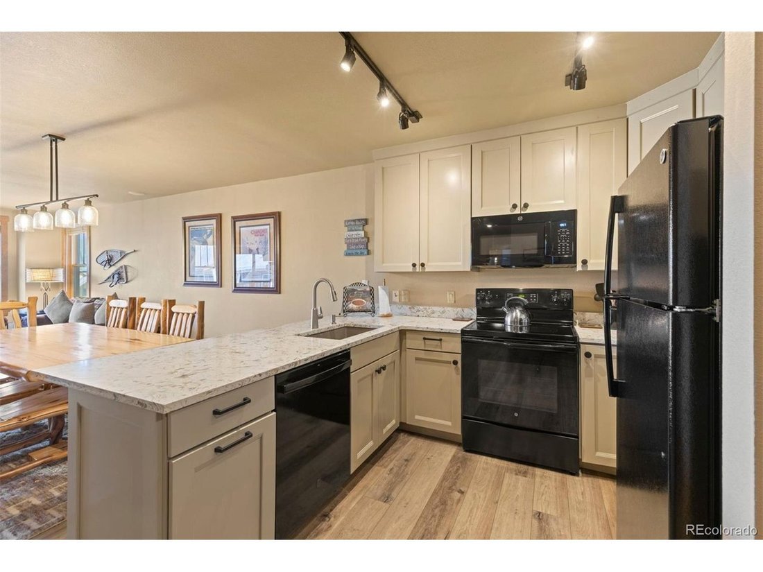 Condo in Dillon, Colorado, United States 5 - 18439412