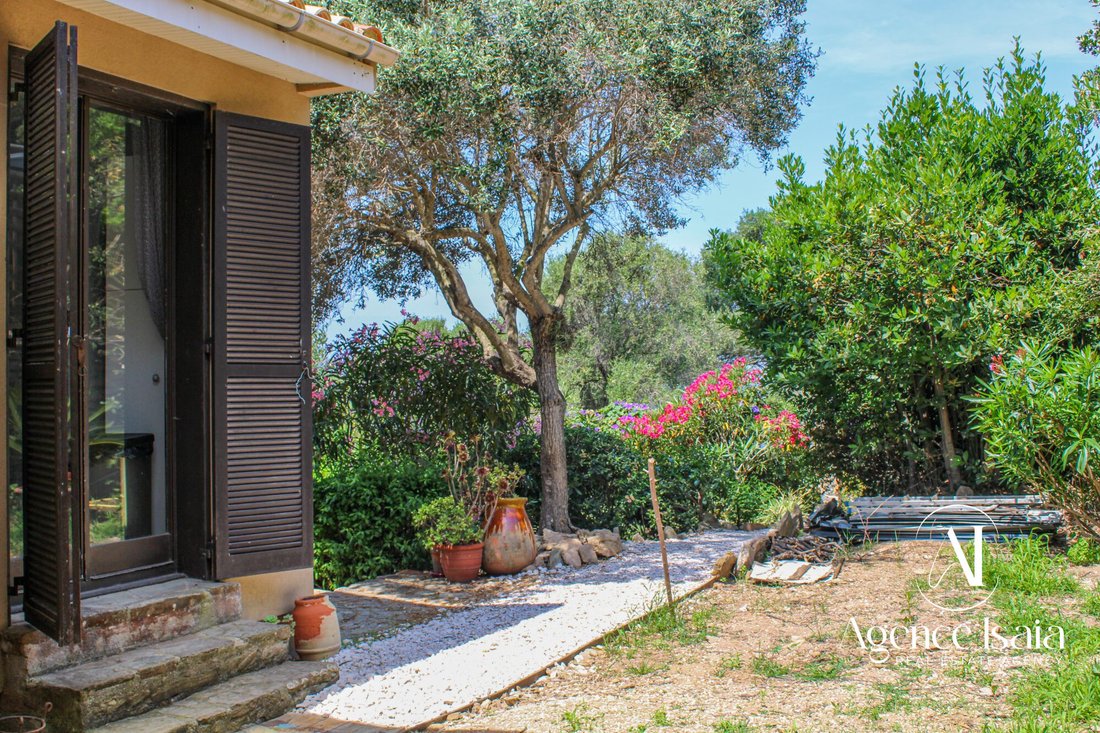 House in Hyeres, Provence-Alpes-Côte d'Azur, France 5 - 18441765