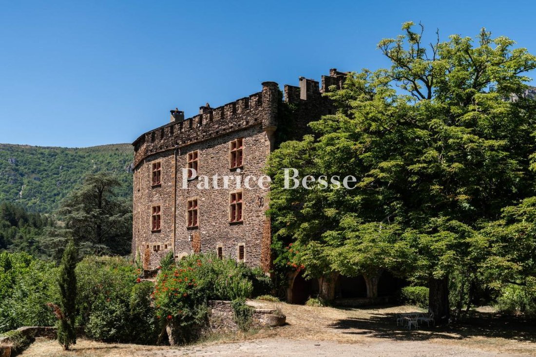 Castle in Florac, Florac Trois Rivières, France 2 - 16116743