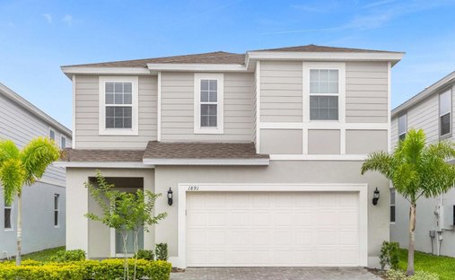 House in Davenport, Florida, United States 1