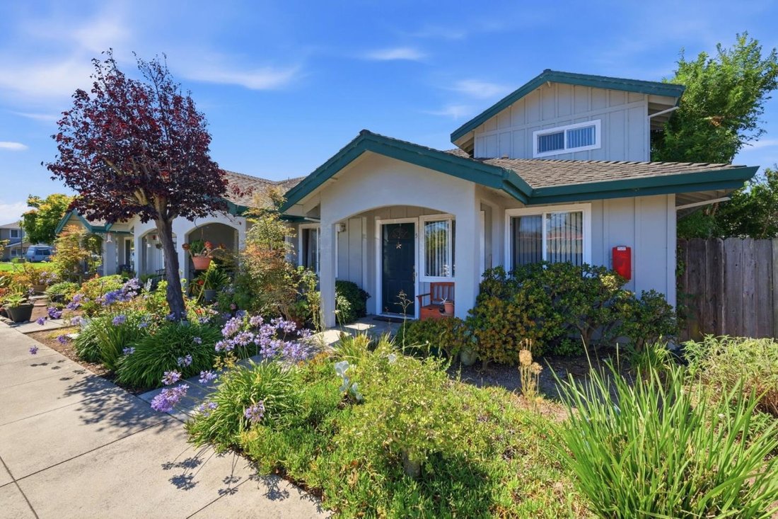 Santa Cruz, California, United States 1 - 18439636