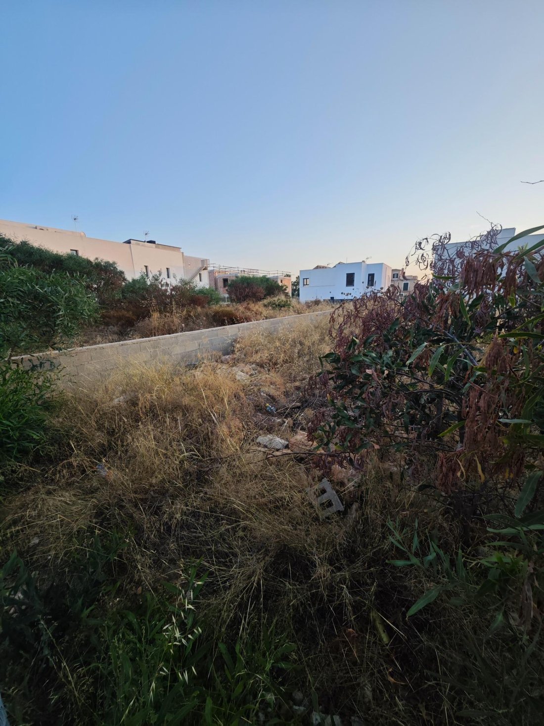 Terreno a Llucmajor, Isole Baleari, Spagna 5 - 18442820