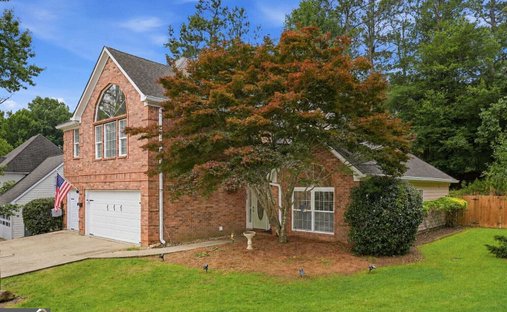 House in Alpharetta, Georgia, United States 1