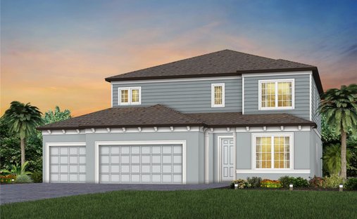 House in Ruskin, Florida, United States 1