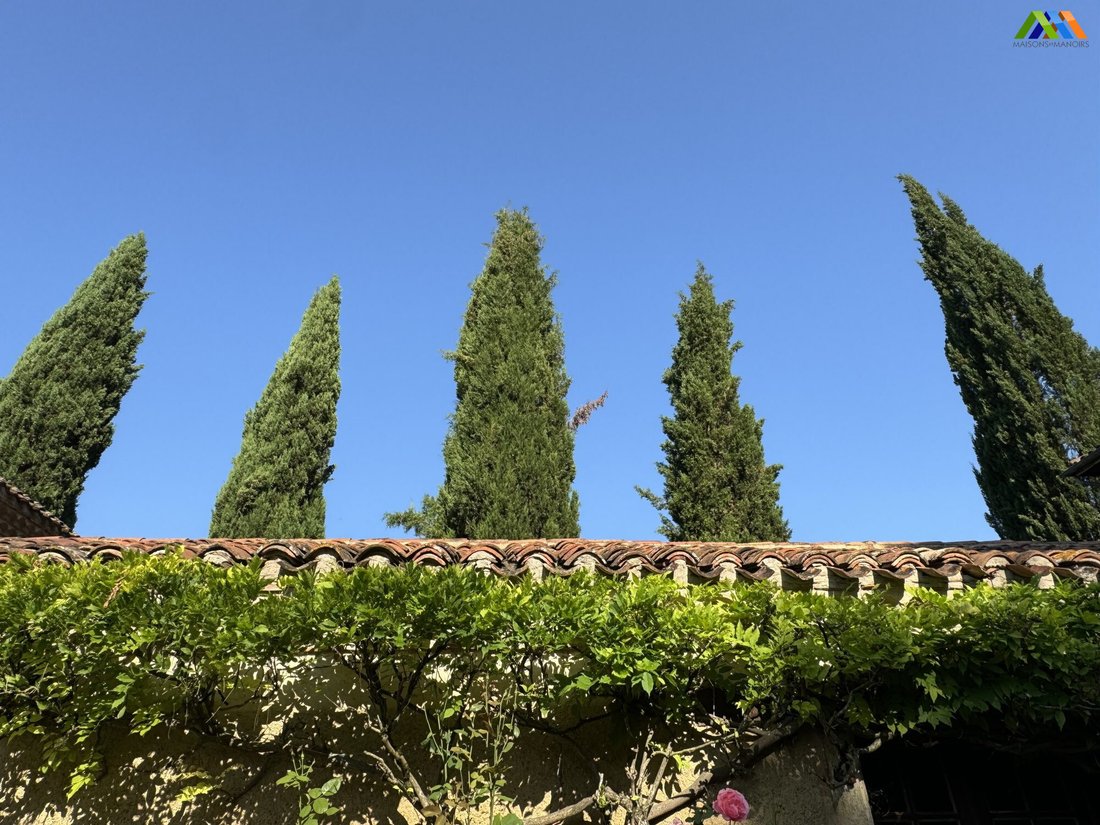 Estate in Pavie, Occitania, France 5 - 16581596