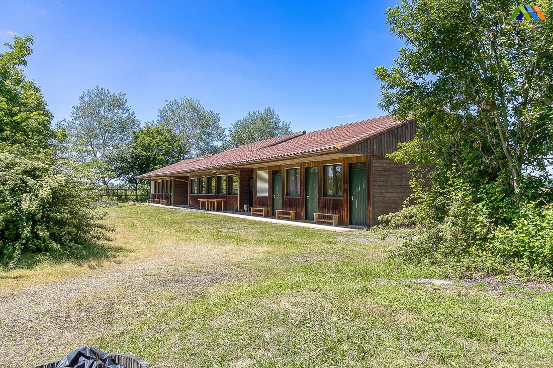 House in Rabastens-de-Bigorre, Occitania, France 5 - 17016490