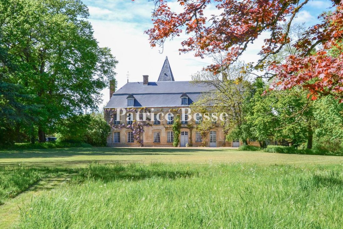 Castle in Cerilly, Auvergne-Rhône-Alpes, France 2 - 18439057