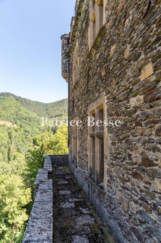 Castle in Florac, Florac Trois Rivières, France 5 - 16116743