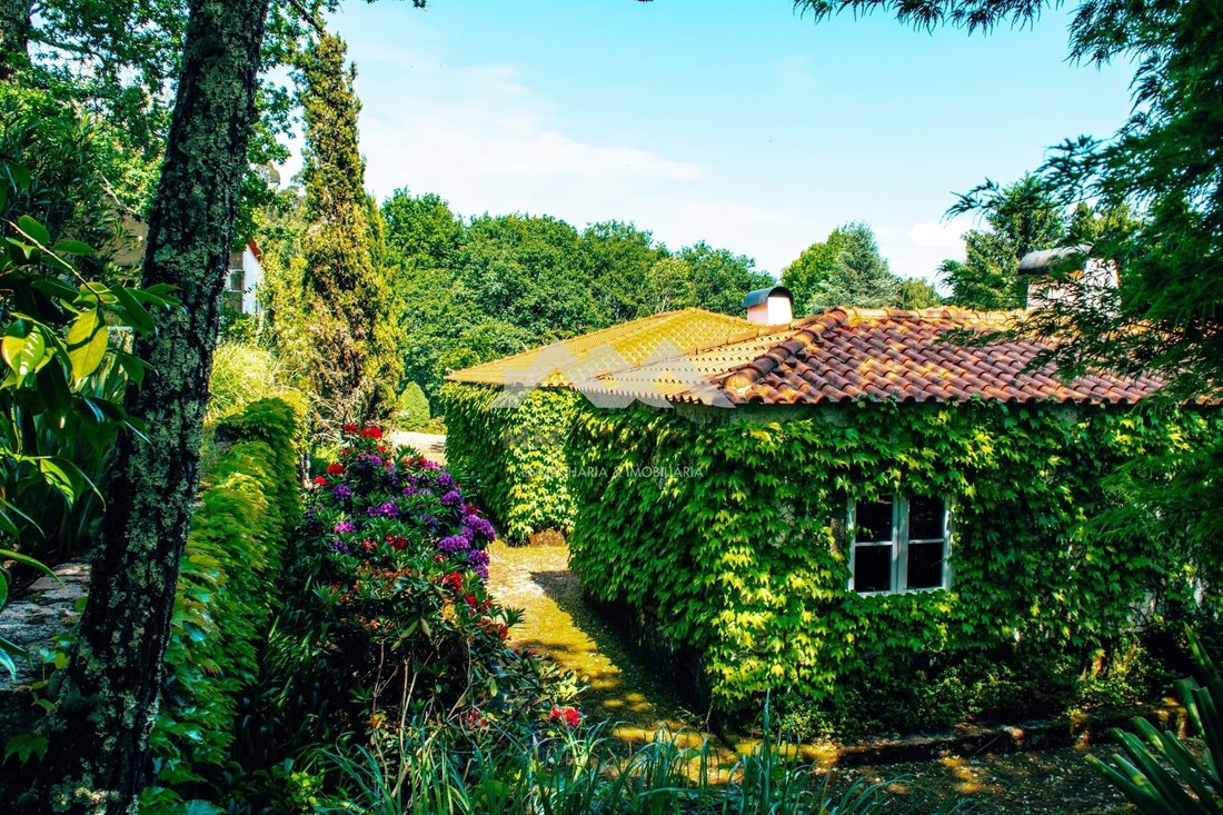 Farm Ranch in Mentrestido, Viana do Castelo District, Portugal 5 - 15542840