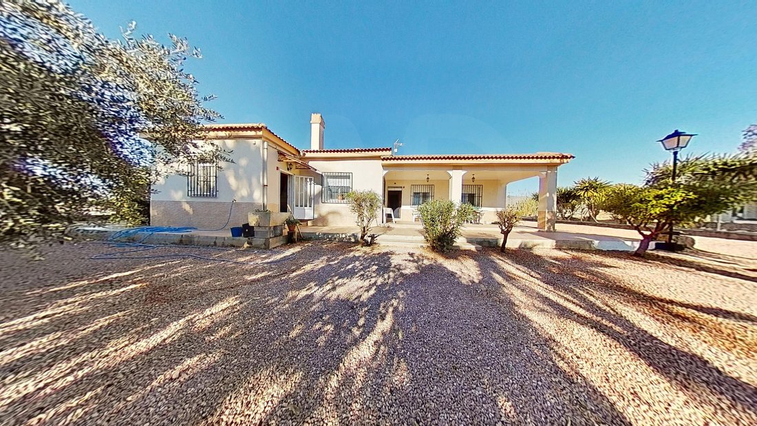 Chalet in Crevillent, Valencian Community, Spain 4 - 18444128