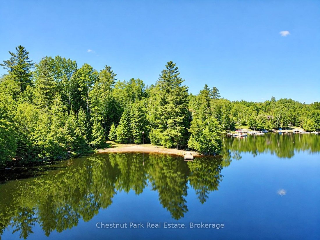 House in Gooderham, Ontario, Canada 5 - 17927040