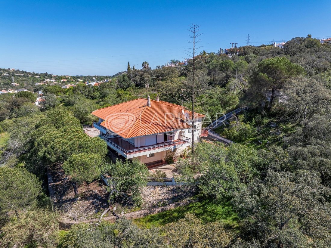 Villa in Sao Bras de Alportel, Algarve, Portugal 2 - 17445446
