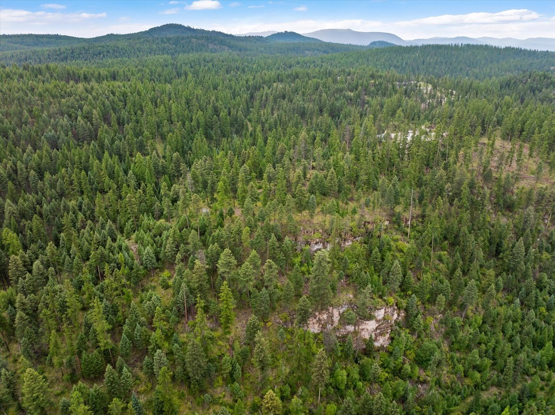 Land in Whitefish, Montana, United States 5 - 18443864