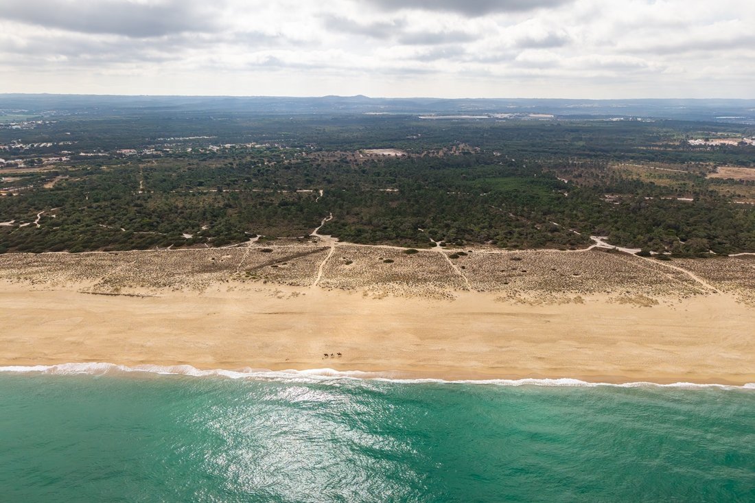 Land in Grandola e Santa Margarida da Serra, Setubal, Portugal 3 - 18444069