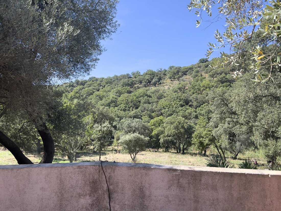 House in Grimaud, Provence-Alpes-Côte d'Azur, France 4 - 18443320