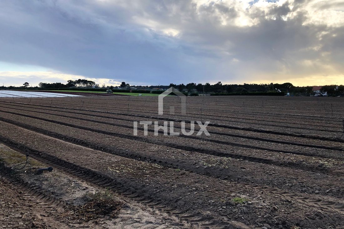 Land in Santo Andre, Setubal, Portugal 4 - 18443694
