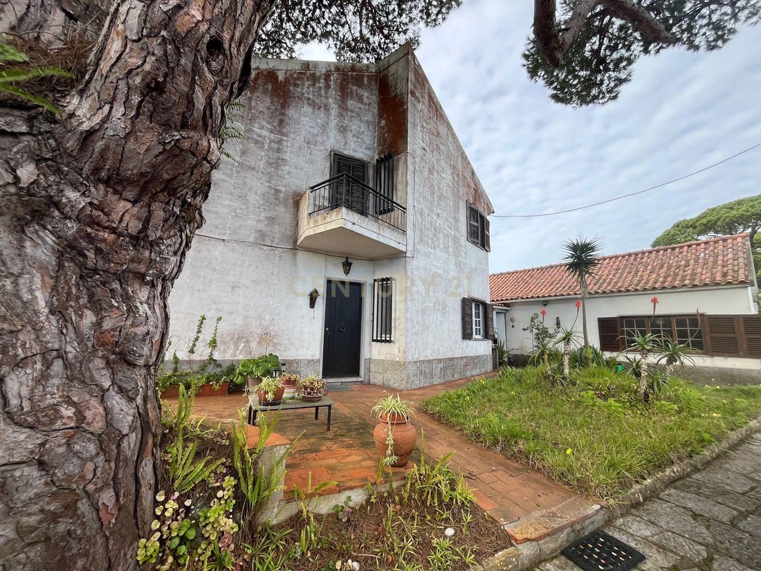 Villa in Colares, Lisbon, Portugal 2 - 18443378