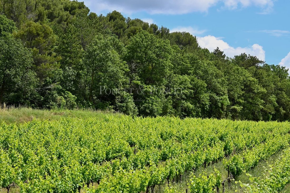 Farm Ranch in Suze-la-Rousse, Auvergne-Rhône-Alpes, France 2 - 18444037