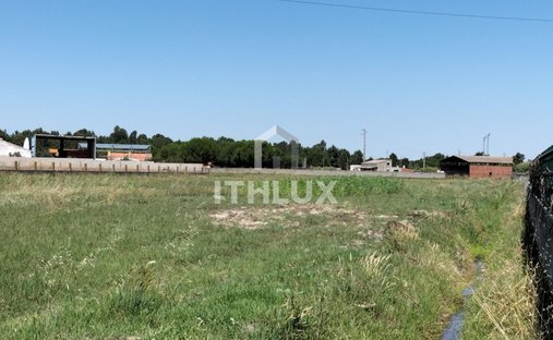 Land in Benavente, Santarem District, Portugal 1