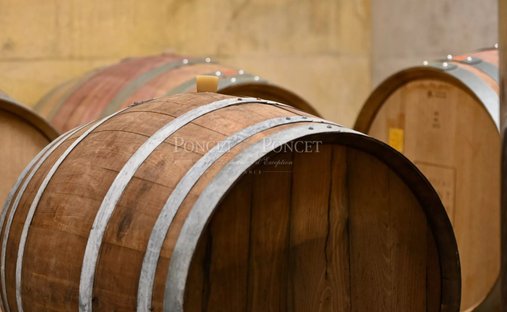 Farm Ranch in Suze-la-Rousse, Auvergne-Rhône-Alpes, France 1