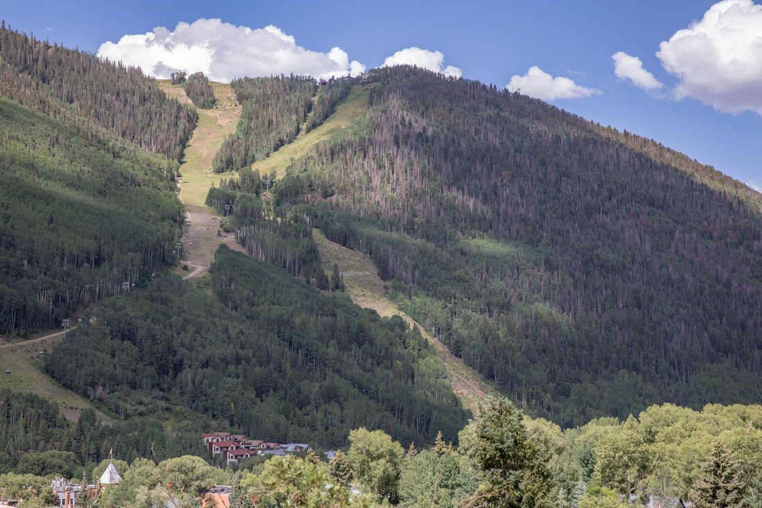 Land in Mountain Village, Colorado, United States 3 - 18444344