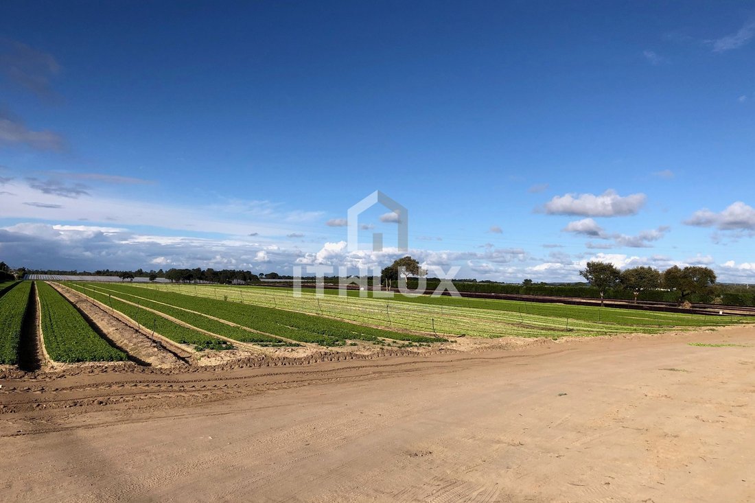 Land in Santo Andre, Setubal, Portugal 1 - 18443694