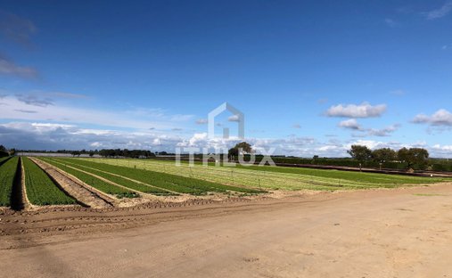 Land in Santo Andre, Setubal, Portugal 1