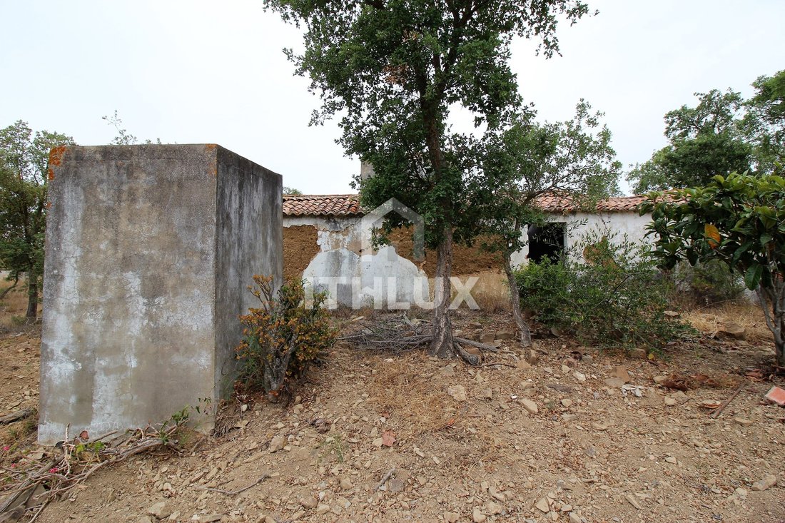 Farm Ranch in Sao Francisco da Serra, Setúbal Municipality, Portugal 5 - 18443559