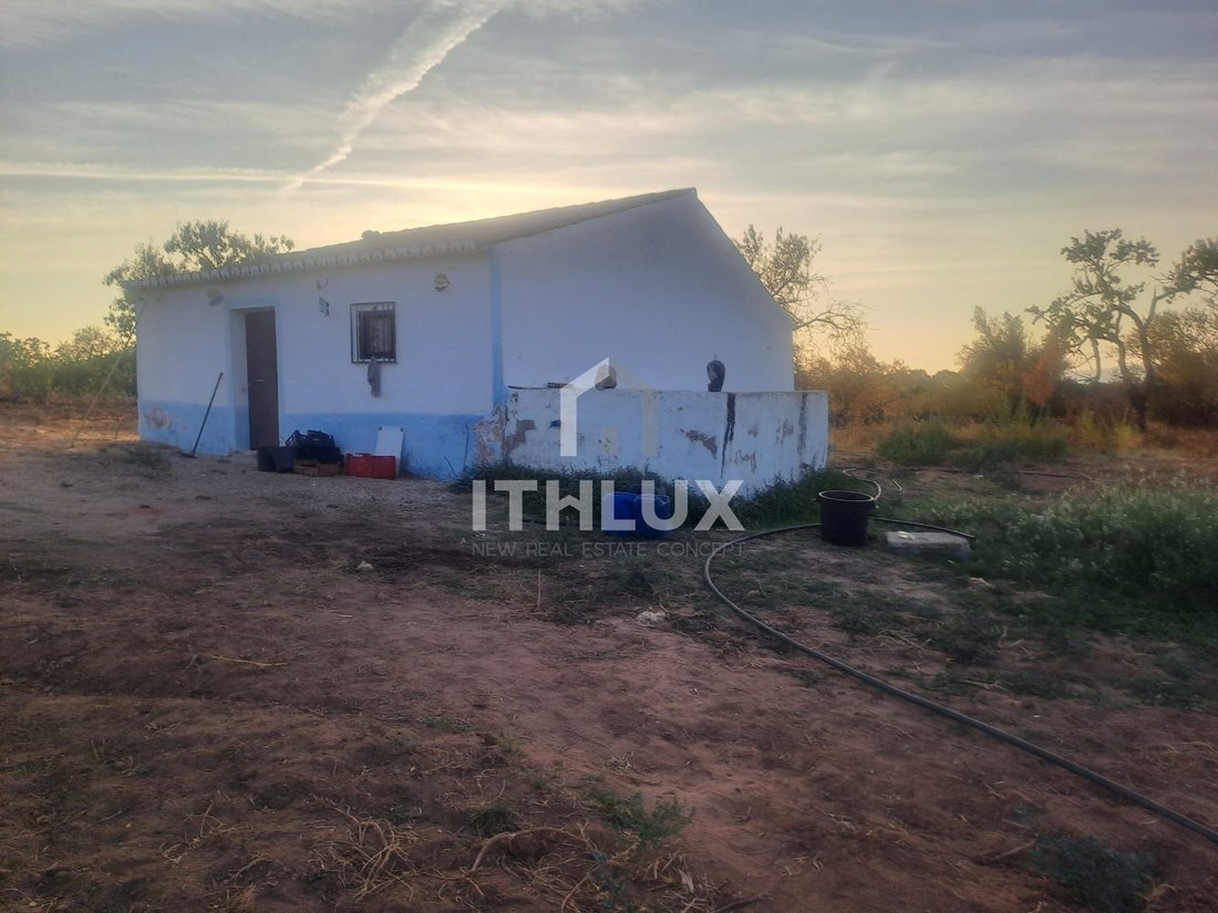 Alcantarilha, Algarve, Portugal 5 - 18443836