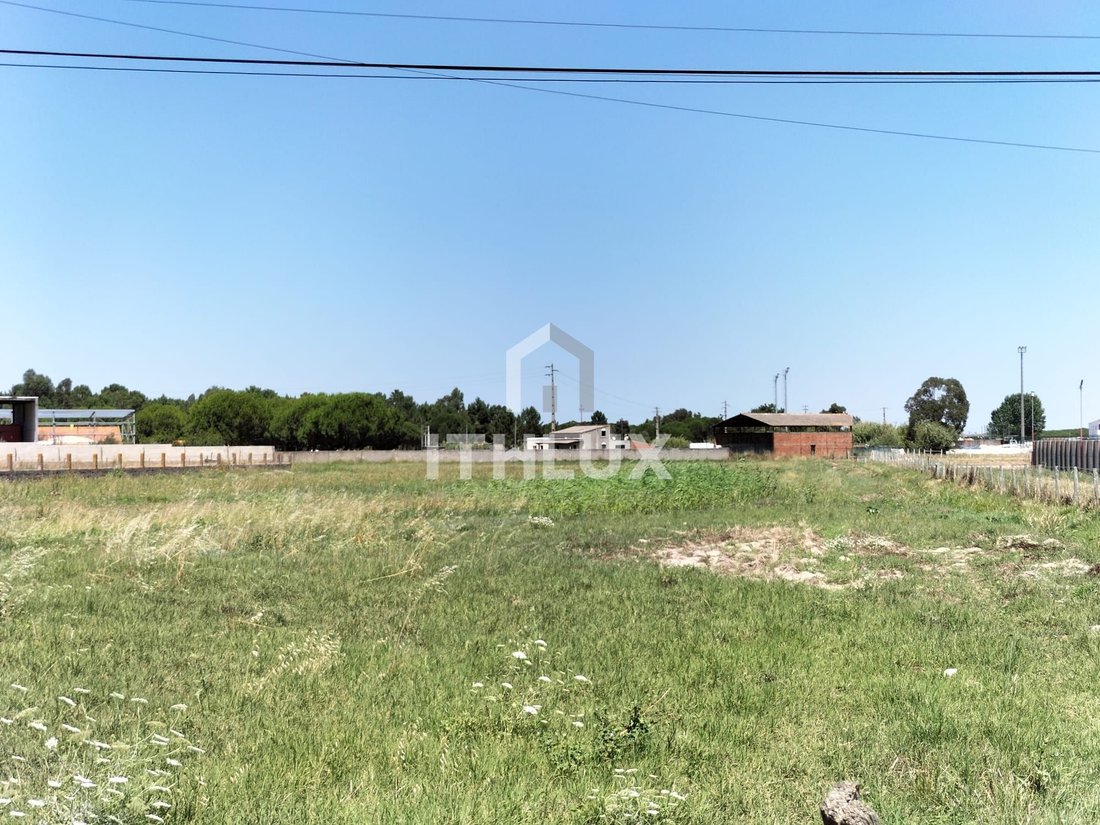 Land in Benavente, Santarem District, Portugal 5 - 18443820