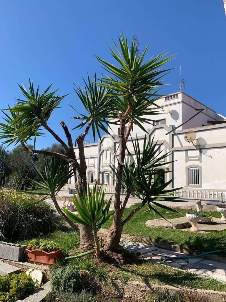 Villa in Moncarapacho, Algarve, Portugal 3 - 18443710