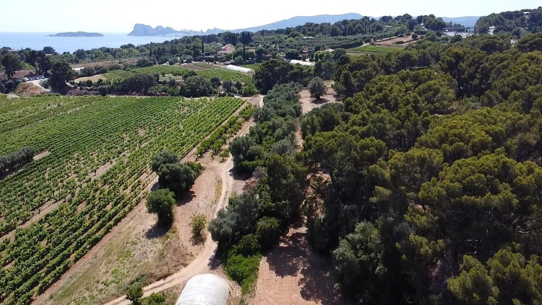 Casa a La Ciotat, Provenza-Alpi-Costa Azzurra, Francia 5 - 18443363