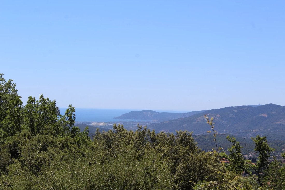 Villa in Grasse, Provence-Alpes-Côte d'Azur, France 5 - 18444116